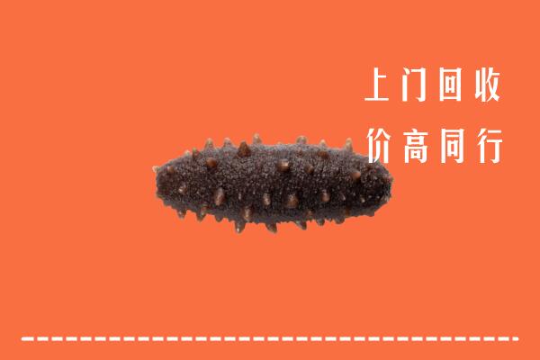 高价求购：阳江市阳春回收海参