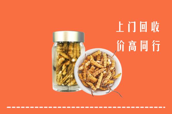 阳江市阳春回收冬虫夏草